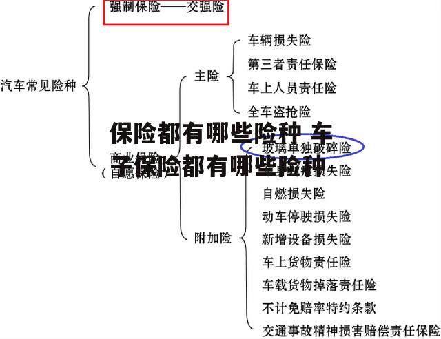 保险都有哪些险种 车子保险都有哪些险种