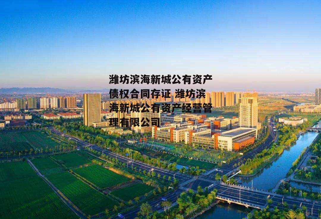 潍坊滨海新城公有资产债权合同存证 潍坊滨海新城公有资产经营管理有限公司