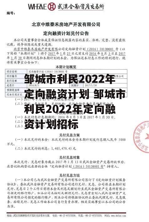 邹城市利民2022年定向融资计划 邹城市利民2022年定向融资计划招标