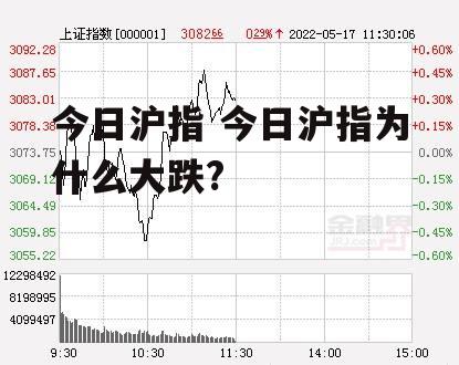 今日沪指 今日沪指为什么大跌?