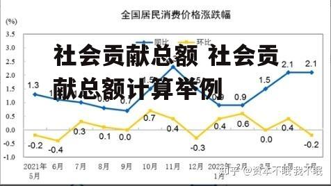 社会贡献总额 社会贡献总额计算举例