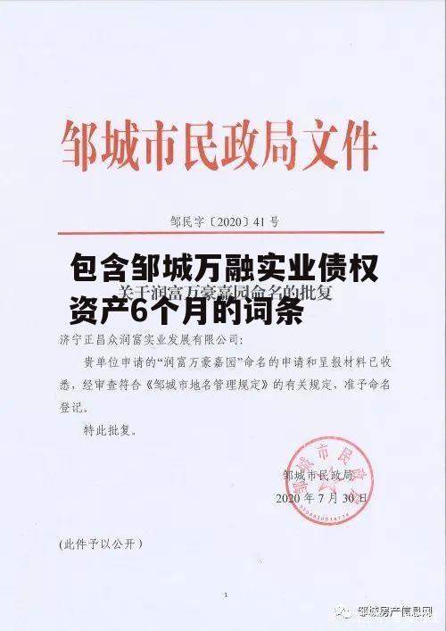 包含邹城万融实业债权资产6个月的词条