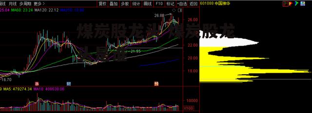 煤炭股龙头 煤炭股龙头是谁