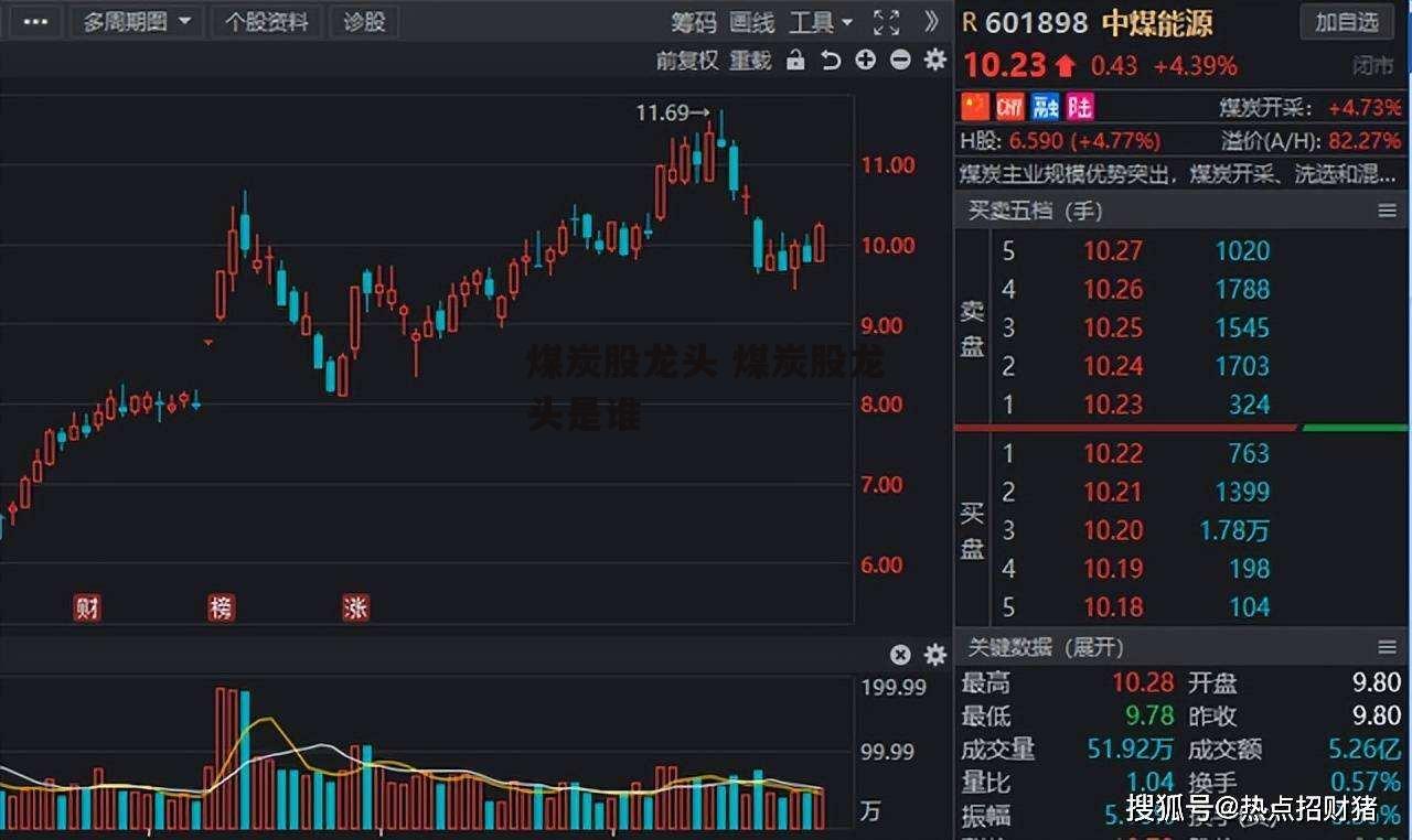 煤炭股龙头 煤炭股龙头是谁