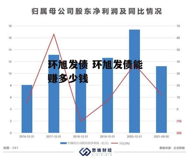 环旭发债 环旭发债能赚多少钱