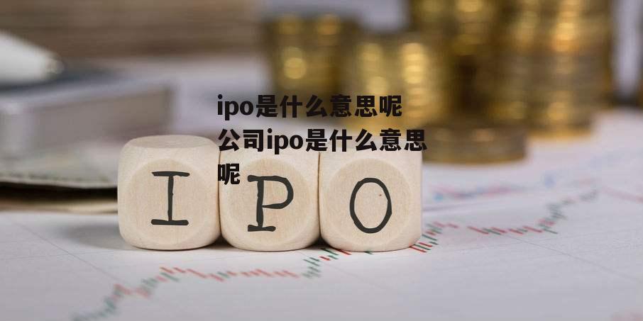 ipo是什么意思呢 公司ipo是什么意思呢