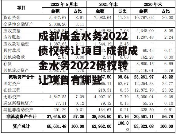 成都成金水务2022债权转让项目 成都成金水务2022债权转让项目有哪些