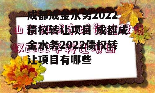 成都成金水务2022债权转让项目 成都成金水务2022债权转让项目有哪些