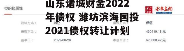 山东诸城财金2022年债权 潍坊滨海国投2021债权转让计划