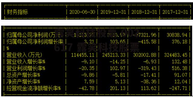 露笑科技股票 002617 露笑科技股票