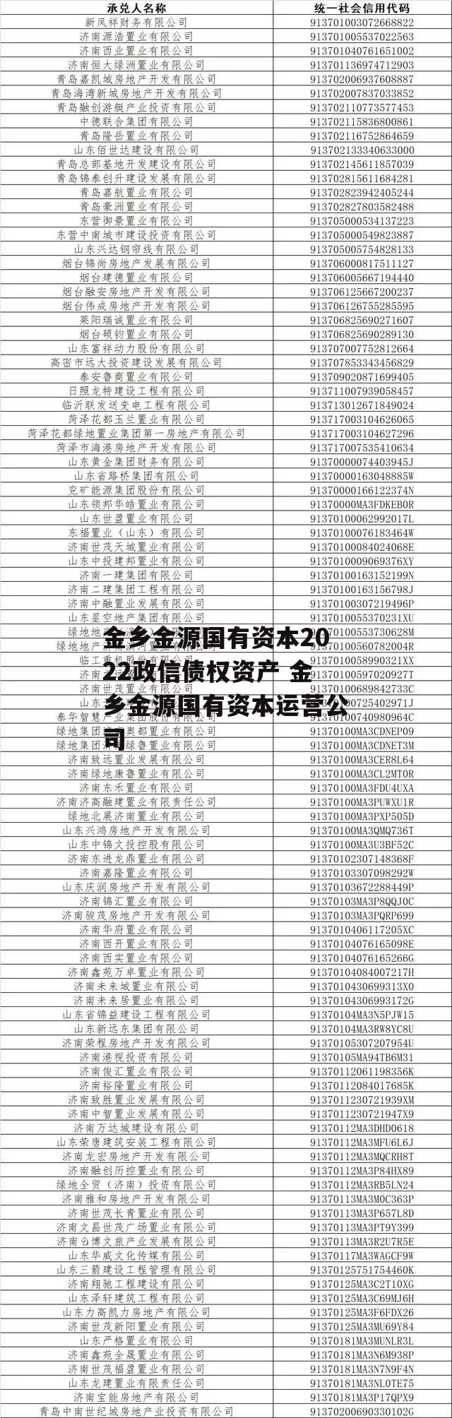 金乡金源国有资本2022政信债权资产 金乡金源国有资本运营公司