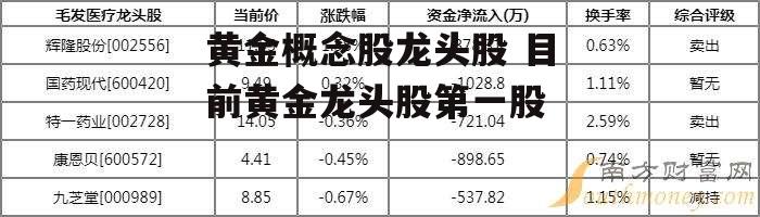 黄金概念股龙头股 目前黄金龙头股第一股