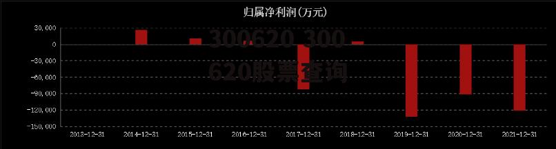 300620 300620股票查询