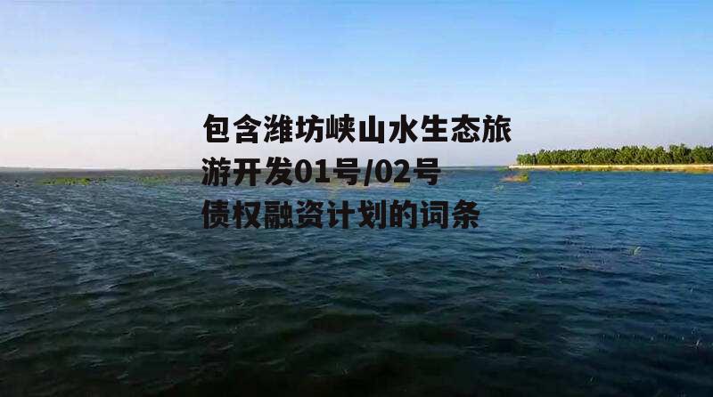 包含潍坊峡山水生态旅游开发01号/02号债权融资计划的词条