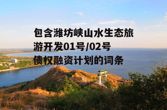 包含潍坊峡山水生态旅游开发01号/02号债权融资计划的词条