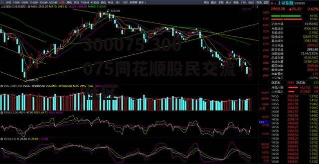 300075 300075同花顺股民交流社区