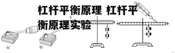 杠杆平衡原理 杠杆平衡原理实验