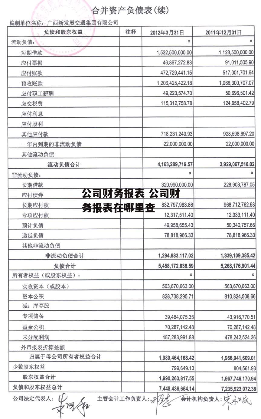 公司财务报表 公司财务报表在哪里查