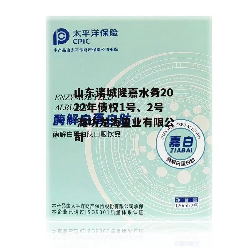 山东诸城隆嘉水务2022年债权1号、2号 潍坊龙海置业有限公司