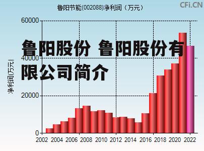 鲁阳股份 鲁阳股份有限公司简介