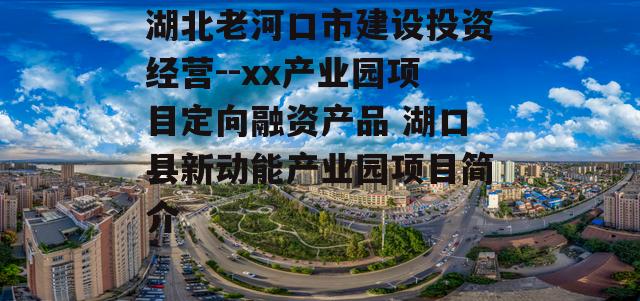 湖北老河口市建设投资经营--xx产业园项目定向融资产品 湖口县新动能产业园项目简介