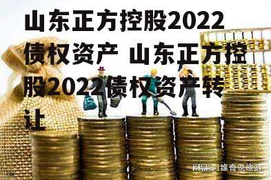 山东正方控股2022债权资产 山东正方控股2022债权资产转让