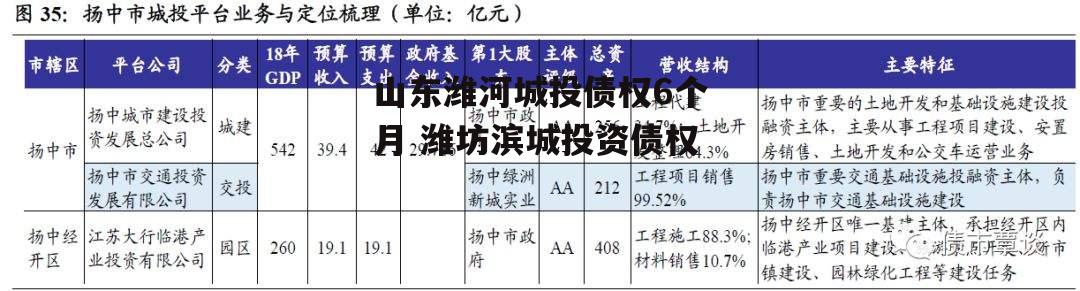 山东潍河城投债权6个月 潍坊滨城投资债权