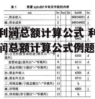 利润总额计算公式 利润总额计算公式例题