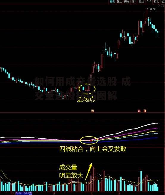 如何用成交量选股 成交量选股技巧图解