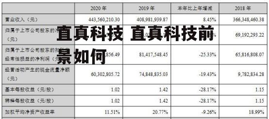 直真科技 直真科技前景如何