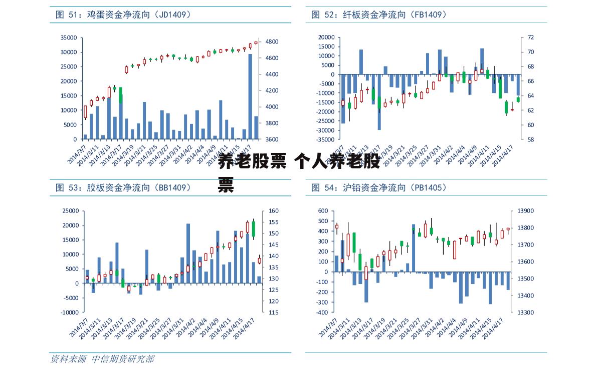 养老股票 个人养老股票