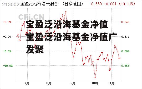 宝盈泛沿海基金净值 宝盈泛沿海基金净值广发聚