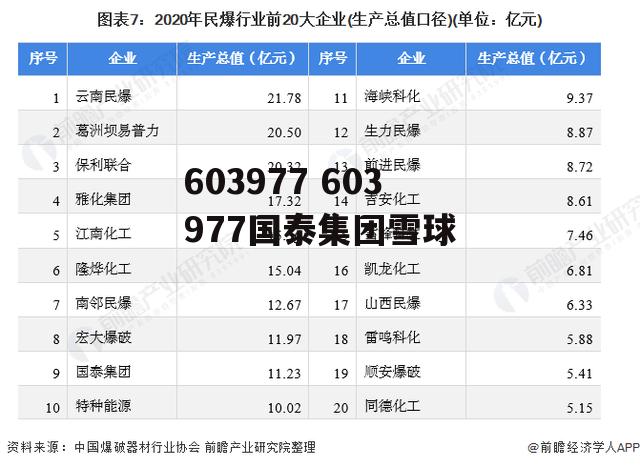 603977 603977国泰集团雪球