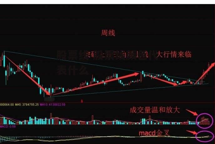 股票线 股票线颜色代表什么