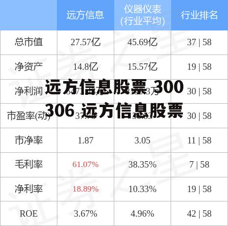 远方信息股票 300306 远方信息股票