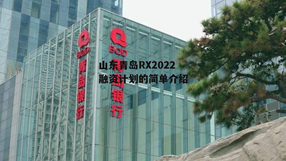 山东青岛RX2022融资计划的简单介绍