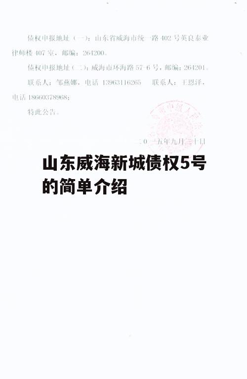 山东威海新城债权5号的简单介绍