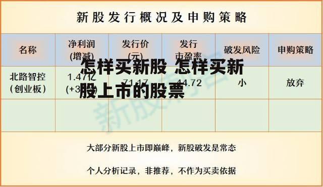 怎样买新股 怎样买新股上市的股票