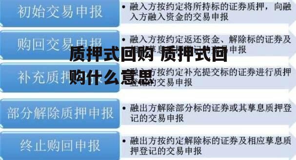 质押式回购 质押式回购什么意思