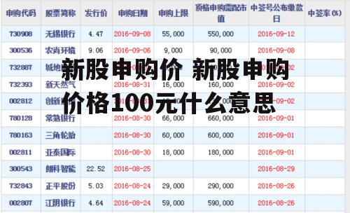 新股申购价 新股申购价格100元什么意思