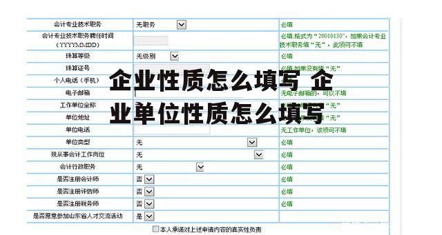 企业性质怎么填写 企业单位性质怎么填写