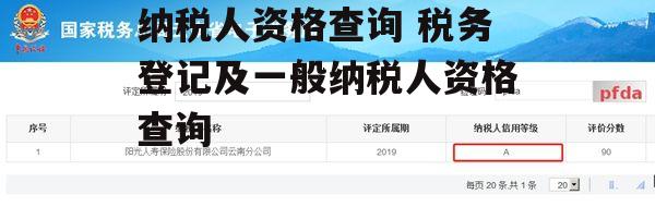 纳税人资格查询 税务登记及一般纳税人资格查询