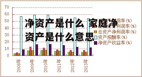 净资产是什么 家庭净资产是什么意思