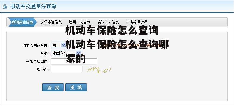 机动车保险怎么查询 机动车保险怎么查询哪家的