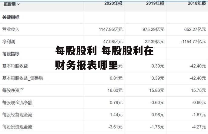 每股股利 每股股利在财务报表哪里
