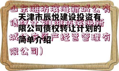 天津市辰悦建设投资有限公司债权转让计划的简单介绍