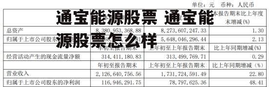 通宝能源股票 通宝能源股票怎么样