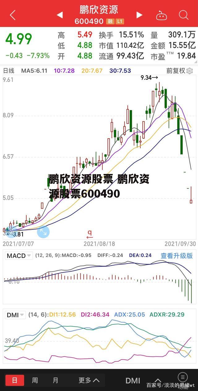 鹏欣资源股票 鹏欣资源股票600490