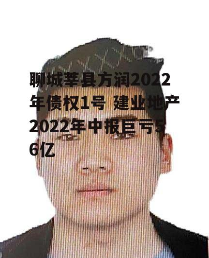 聊城莘县方润2022年债权1号 建业地产2022年中报巨亏56亿