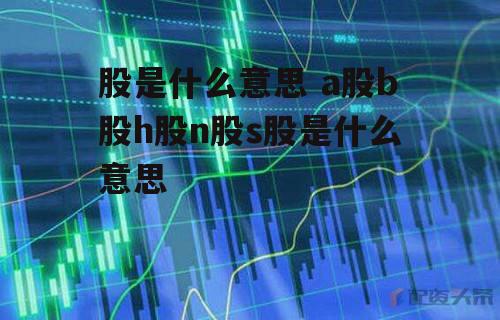 股是什么意思 a股b股h股n股s股是什么意思